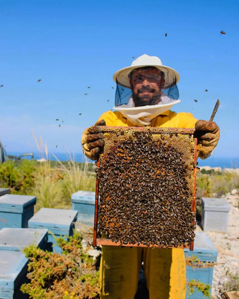 Apicultor con panal de abejas